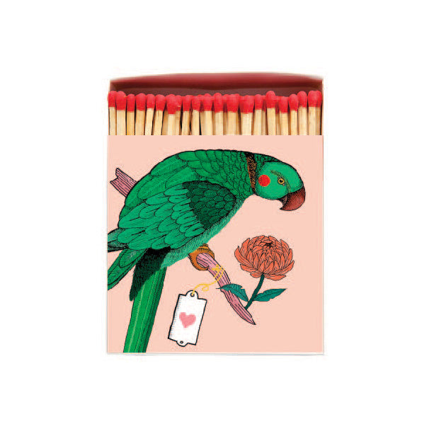 Archvist Luxury Matches - Parrot