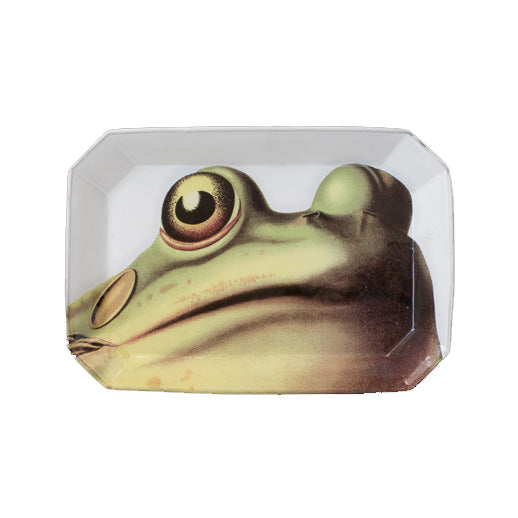John Derian Frog  Platter