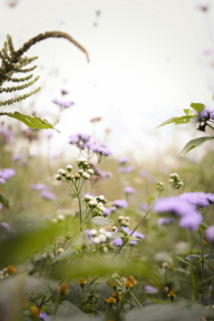  Florales Parfum 