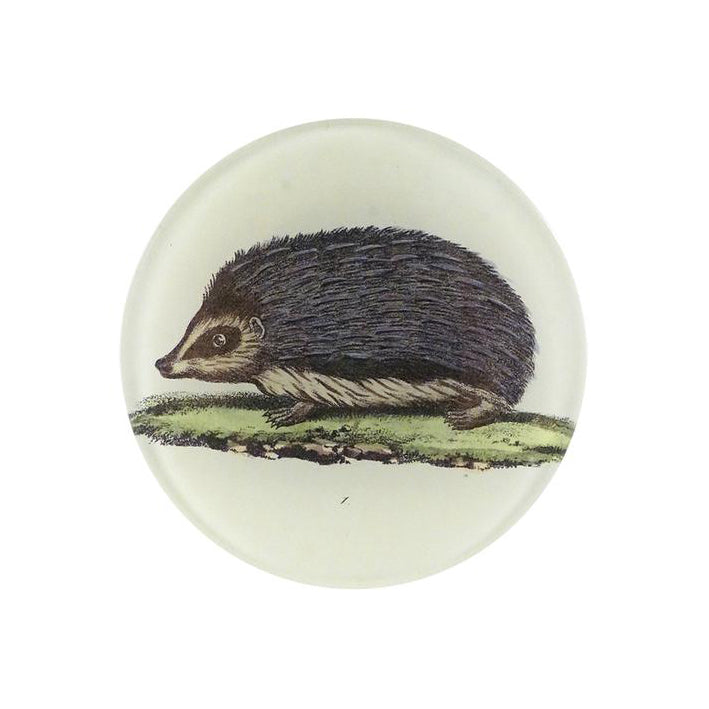 Hedgehog Teller 26cm