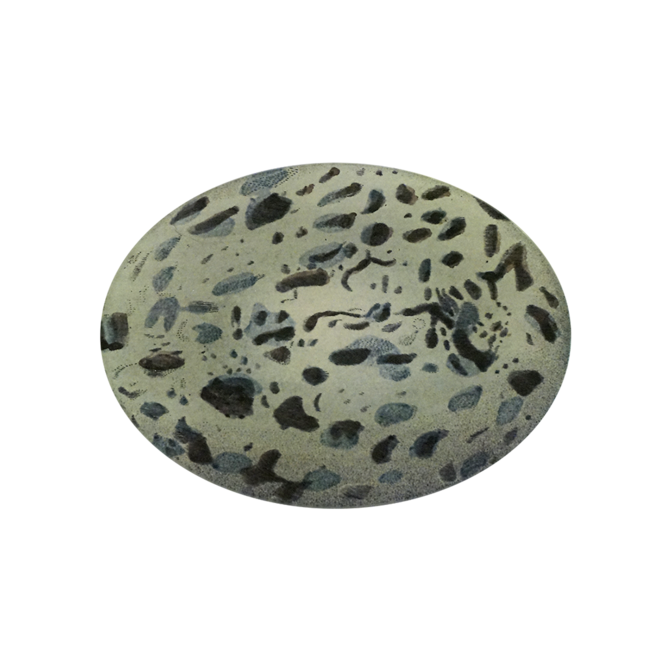 Eggs #1 Teller Oval 13x18