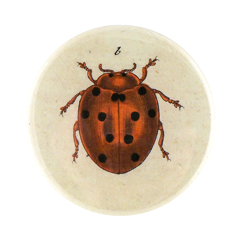 Tiny Dot Ladybug - Pocket Mirror